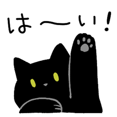 黒猫ろん(ゆる敬語)