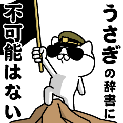 "USAGI"name/Military cat