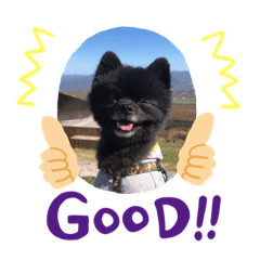 TETSU_20200127183952