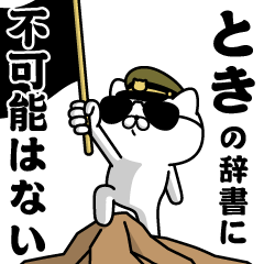 "TOKI"name/Military cat