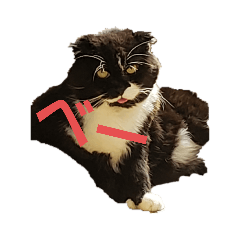 hikari with momotaro