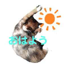 vivi_20200127213642
