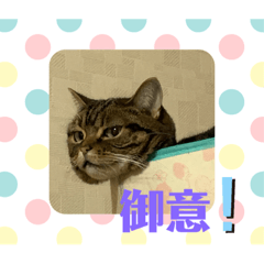iku_20200127220535