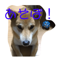 Rei_20200127224351