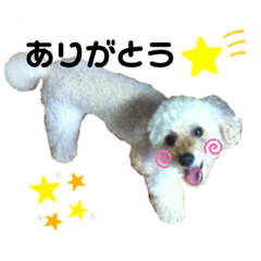 nanami_20200128002507