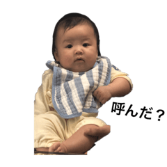 panda_20200127234143