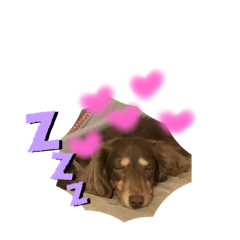 Tetsu_20200128001642