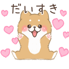 Moving Mofumofu Shiba Inu