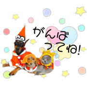 rena._20200128062251
