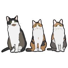 Sticker Kucing Comel Kucingcomel Com