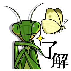Bug's spirit