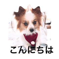 kazumi_20200128115448