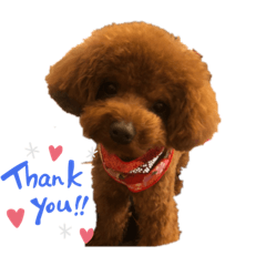 cocoa_20200128134739