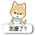 日本种小犬