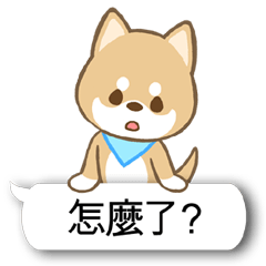 日本种小犬