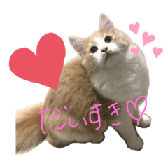 aoi_20200128191219