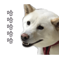 西歐低歪