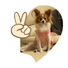 yukari_20200128195210