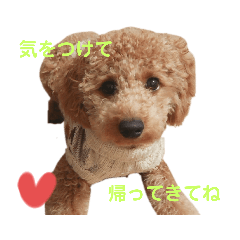 Hana_20200128133643