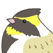 I love birds!