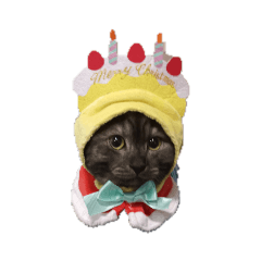 Charcoal & Oonging the series 2