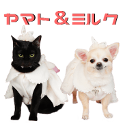 Yamato&Milk cute Sticker