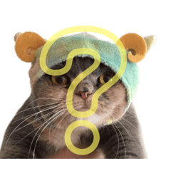 nozomi_20200129122140