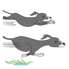 ビビり犬 イタグレm Line スタンプ Line Store