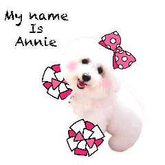 Fluffy Annie is BICHON