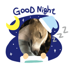 saori_20200129160018