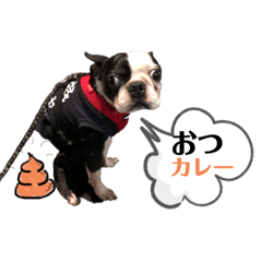 Takashi_20200129160936