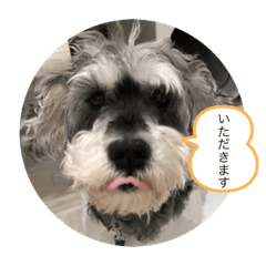 melon_20200129163632