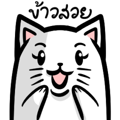 Kaosuaw White Cat