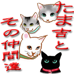 White Cat TAMAKICHI's and the friends