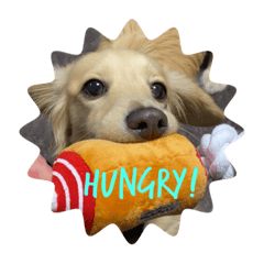 yamada_20200129190yyy