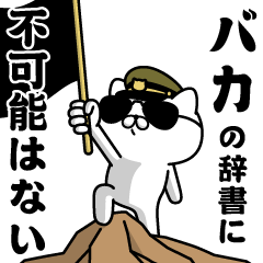 "BAKA"name/Military cat