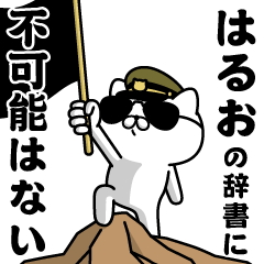 "HARUO"name/Military cat