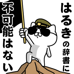 "HARUKI"name/Military cat