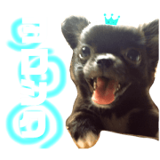 1000crystal_20200129184520