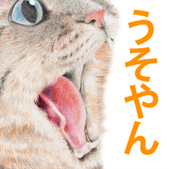 関西弁リアル猫