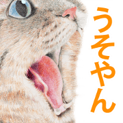 kansai dialect cat