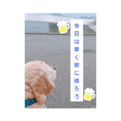 john_20200129231835