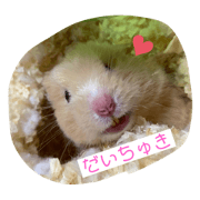 yuitan_20200130000619