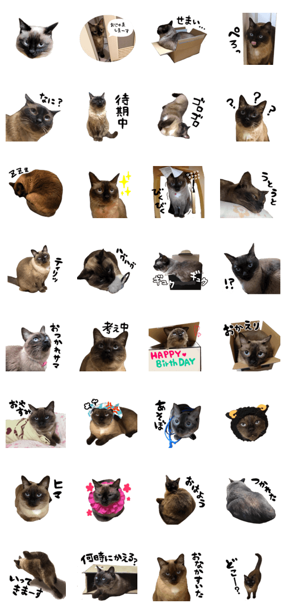 コンプリート 赤い シャム 猫 猫 シルエット フリー コンプリート 赤い シャム 猫 猫 シルエット フリー