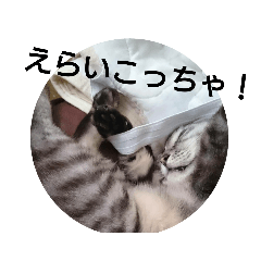 DDD_20200129221244