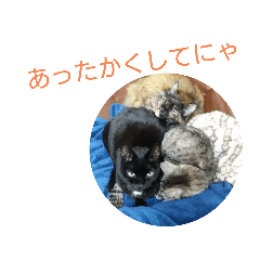 DDD_20200130080658