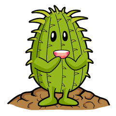 Tim kaktus