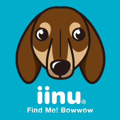 iinu - Dachshund