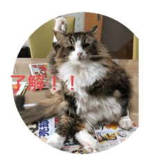 itsuki_20200130114651