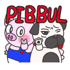 THE PIBBUL !!